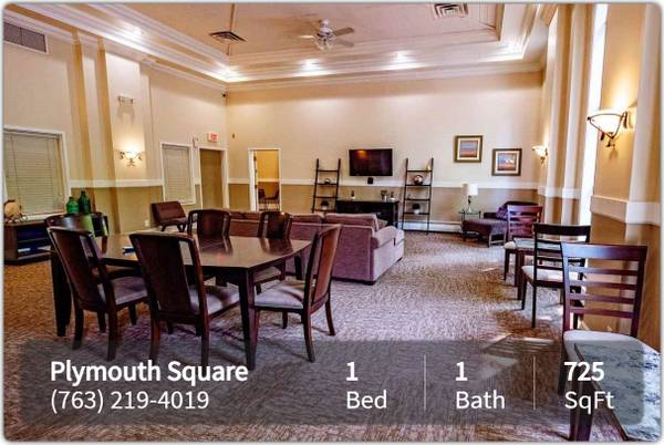 $1,485 / 1br - 725ft2 - Rent a 1 bed, 1 bath in lovely, quiet Plymouth community! (Plymouth - Wayzata)63666897812995121