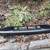 F150 Front Lower Valance / lower bumper 2 thumbnail