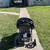BabyTrend Stroller 5 thumbnail