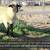 HAMPSHIRE/SUFFOLK YEARLING RAMS 10 thumbnail