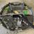 Bow, compound bow 1 thumbnail