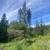 New lodge mountain home on 23 subdivided acres 4 thumbnail