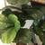 Live-like Artificial silk Fiddle Leaf Tree 5 thumbnail