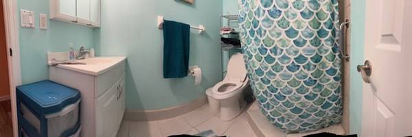 $575 / 1br - Large room+Private Bath (Mandarin)63377618326275124