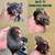 Rats 2 thumbnail