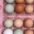 Chicken Egg - Free range RAINBOW color chicken eggs 1 thumbnail