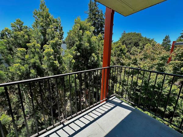 $3,750 / 2br - TOP-FLOOR + HUGE 2 bedrooms AMAZING VIEWS walk to Burlingame Avenue! (san mateo)63847325379587123