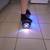 Two hoverboards 2 thumbnail