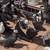 Pigeons 1 thumbnail