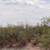 5 Acres Property for Sale in Deming, NM! 10 thumbnail
