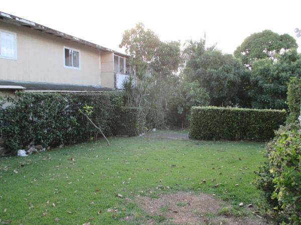 $1,485 / 1br - ¡Conveniente en la ciudad! Mascotas permitidas, 1 estacionamiento incluido, amplio patio trasero (Lower Punchbowl/Downtown)63686691931139124