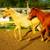 Palomino Colt 4 thumbnail