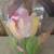 THORNBERRY'S FLOWERED VASE 3 thumbnail