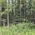 1.05 Acre lot with electricity near by, off Funny river road 8 thumbnail