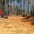 Septic Repair, Driveway Repair, Drainage, Light Clearing & Grading 1 thumbnail