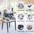 Kisdream Foldable Booster Seat Portable High Chair 5 thumbnail