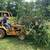 Call with needs trees dirt stone mulch clearing hauling mow anything 3 thumbnail