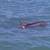 WARM FLORIDA GULF WATERS Await Your Visit! 19 thumbnail