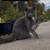 Natural Mouse trap 3 thumbnail
