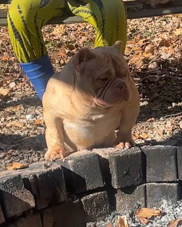 Reubicar (Southaven)