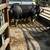 Berkshire pigs/ breeding stock 14 thumbnail
