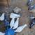 White pegons and white spotted pigeons 3 thumbnail