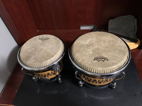 Lp Aspire Accent bongos mint 1