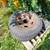 3 toyota rims 2 with tires 2 thumbnail