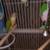 Pineapple green cheek Conures 1 thumbnail