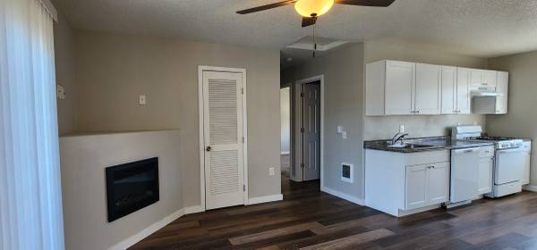 $1,395 / 2br - 850ft2 - $99 MOVE IN SPECIAL - Beautifully Remodeled - Pet Friendly - W/D63914854659843121