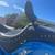 2012 Honda chopper/clean tittle/18kmi/excellent 7 thumbnail