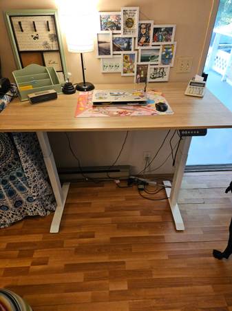 Electric sits stand desk 1