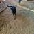 Mascotas/Dog German Shepherd 8 thumbnail