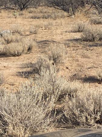$2,500 .85 Acre Property Pearce Az Sunsites 4 115-05-237 (Pearce)64279523576195123