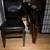 Fully Cushioned 'Set of 2' FOLD-UP CHAIRS Solid Walnut Wood 1 thumbnail