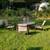 Outdoors Dining Set, with 4 Arm Chair, Table, Umbrella & Stand 1 thumbnail