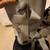 Leg Walker boot size medium 5 thumbnail