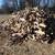 Fw.. kingsville farm selling firewood ... seasoned dry split and cut t 1 thumbnail