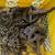 Usable antique 1/2 ton chain block, block and tackle, chain fall YALE 2 thumbnail