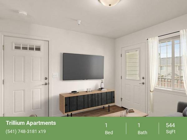 Pet Friendly, Plank Flooring, Patio/Balcony, Washer/Dryer 1