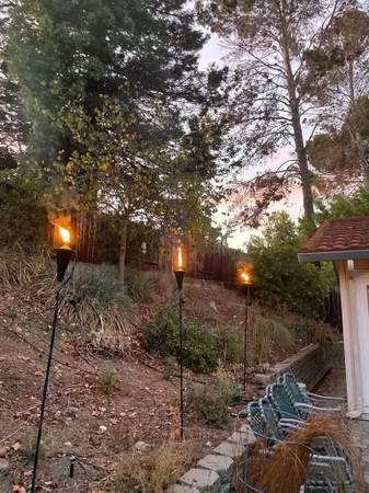 Tiki Torches 1