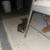 Kitten 2 thumbnail