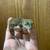Crested Geckos 5 thumbnail