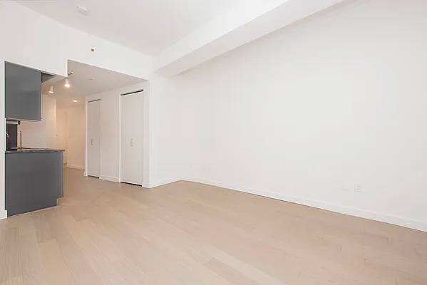 $3,200 Oversized Windows + Tons of Closets!!! (Financial District)63788551850883121
