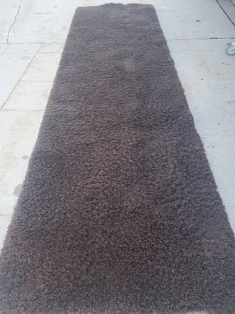 Shag Rug----170in Long 1