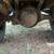 1954 Dodge C series. Hemi V8 Runs Great. Dump Bed. 4 Speed 4 thumbnail