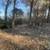 1.30 Acre Double Lot in Wadsworth Estates w/Owner financing available! 3 thumbnail