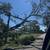 Tree service 6 thumbnail