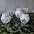 Vintage Consolidated Biscuit Jats and Vase 2 thumbnail