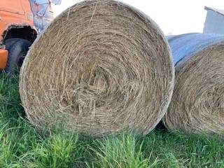 Round bales - mixed grass hay 1